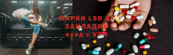 PSILOCYBIN Коряжма