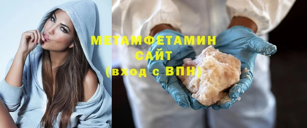 шишки Корсаков