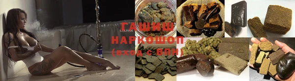 шишки Корсаков