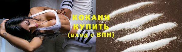 шишки Корсаков