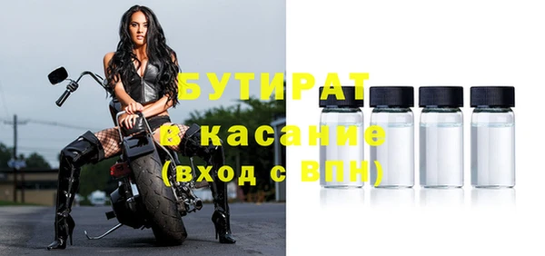 шишки Корсаков