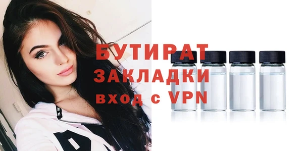 шишки Корсаков