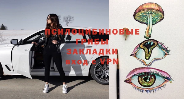 PSILOCYBIN Коряжма