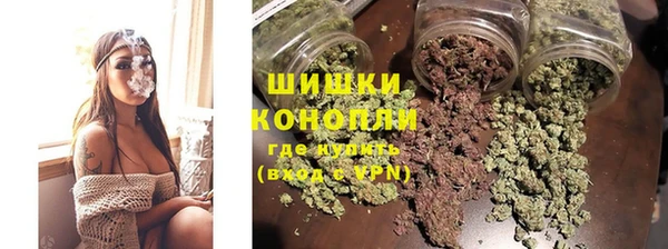 PSILOCYBIN Коряжма