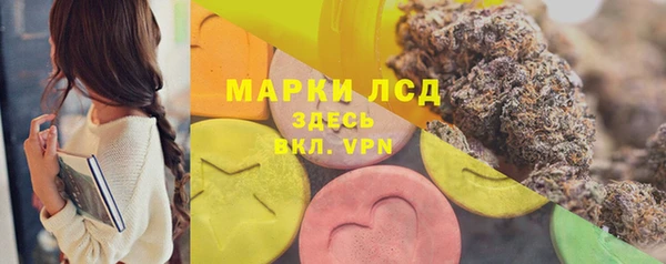 PSILOCYBIN Коряжма