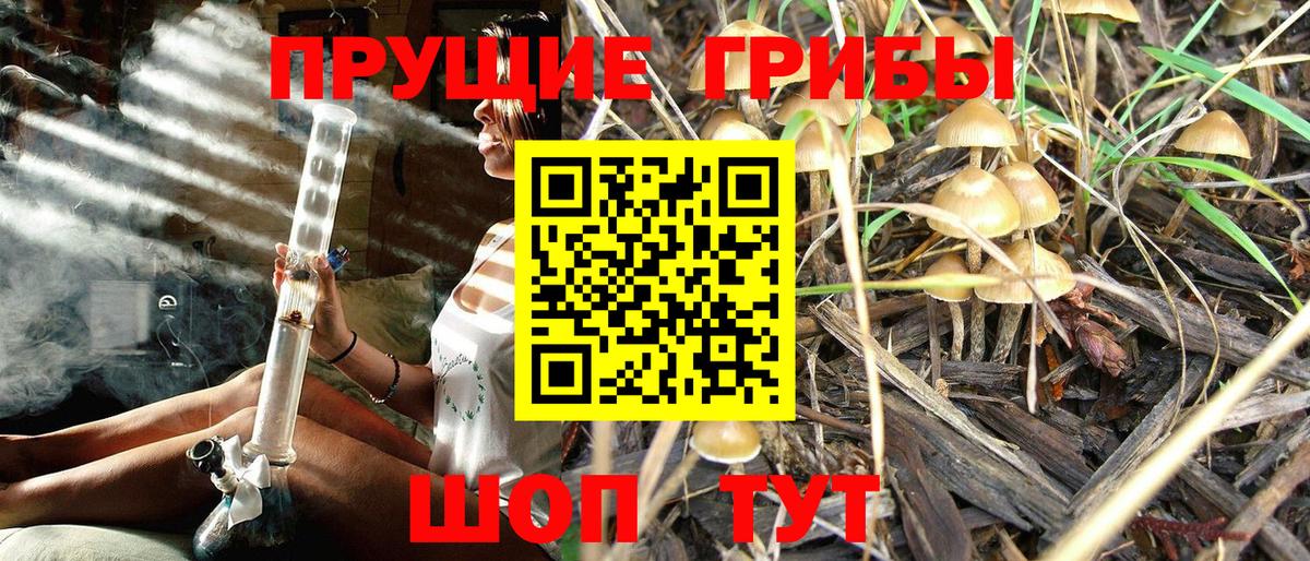 Галлюциногенные грибы Cubensis  Галлюциногенные грибы мицелий  Волгодонск 